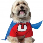 Underdog Pet Costume