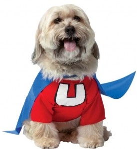 Underdog Pet Costume